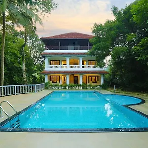 https://once-upon-the-river-cochin-international-airport.hotels-munnar.com